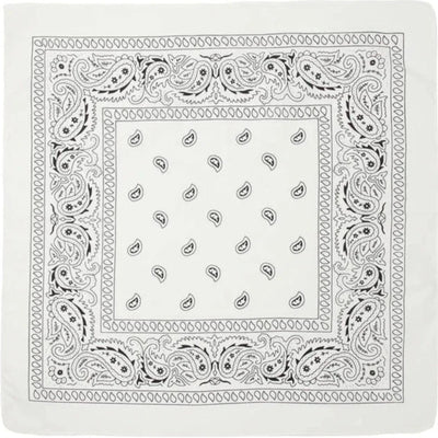 Image of Classic Paisley Bandana - White